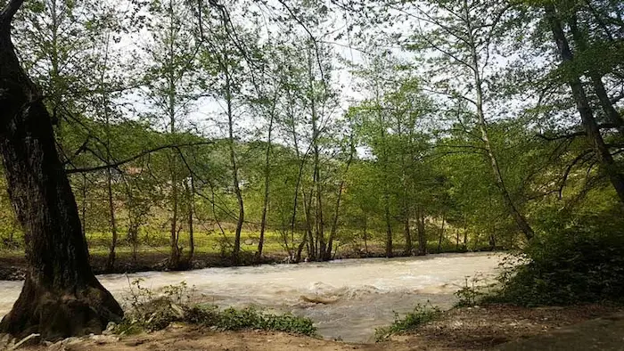 گذر جریان آب در کنار پارک جنگلی فین چالوس