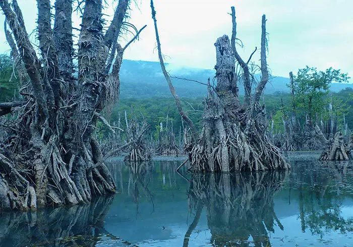 دریاچه خوفناک ارواح از جاذبه های دیدنی مزگاه برای خرید ملک