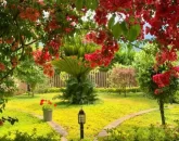 حیاط درختکاری شده ویلاباغ در کلاردشت 7278527852
