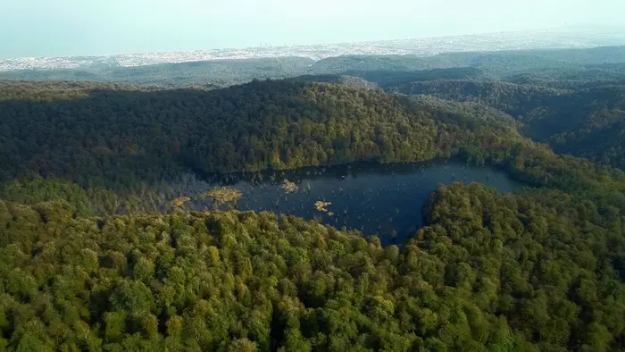 دریاچه ارواح محصور شده در میان درختان هیرکانی سرسبز و تنومند5412452552125