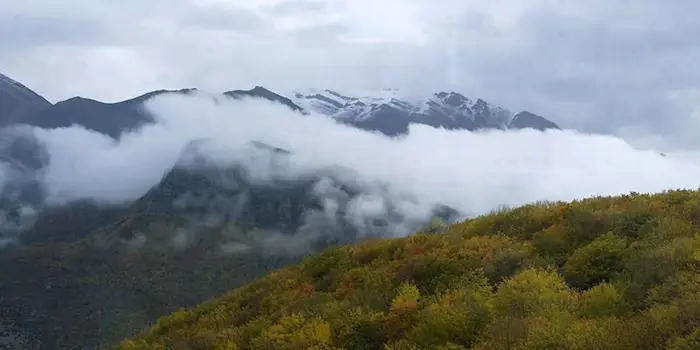 جنگل های پاییزی در ارتفاعات کوه های مه آلود سیاه بیشه 748774