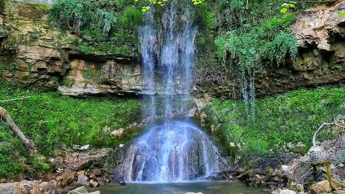 آبشار خریم خروشان در دل گلسنگ ها ی سبز در قائمشهر 456841