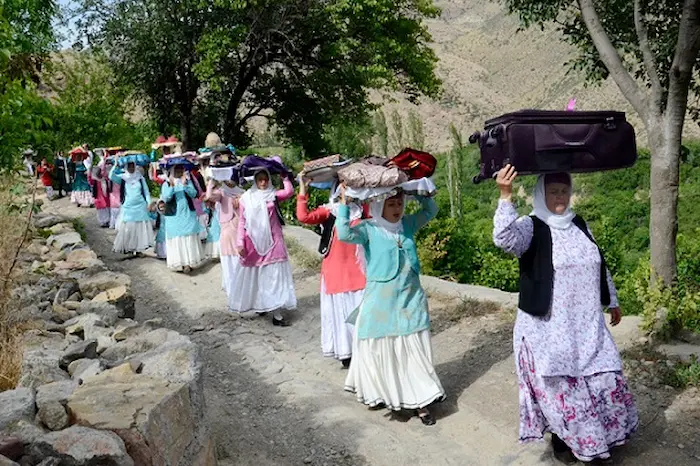 لباس های محلی زنان در حال بردن جهیزیه عروس به مراسم عروسی در روستای کوتنا 15215