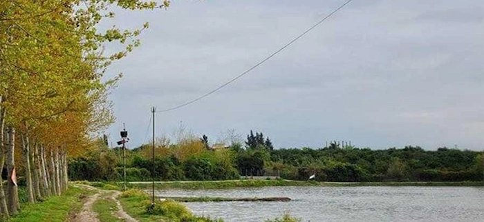 آب بندان روستای ساروکلا در قائمشهر 16584687485