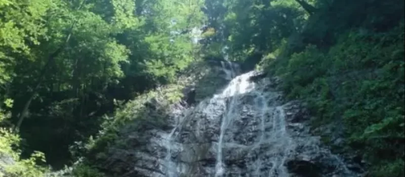 آبشار پله ای اکاپل ودرختان سرسبز اطرافش