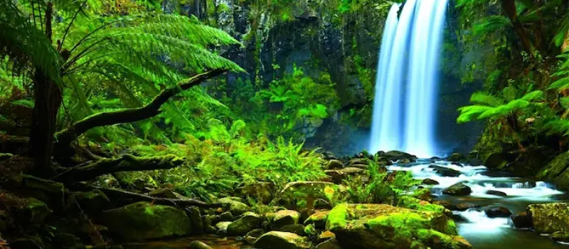 درختان سرسبز در کنار آبشار خروشان یکی از جاهای دیدنی قائمشهر 46786856