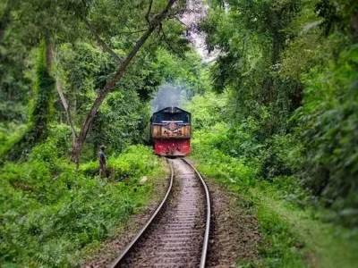 قطار سواری در میان درختان سرسبز شهر آلاشت 68587648389
