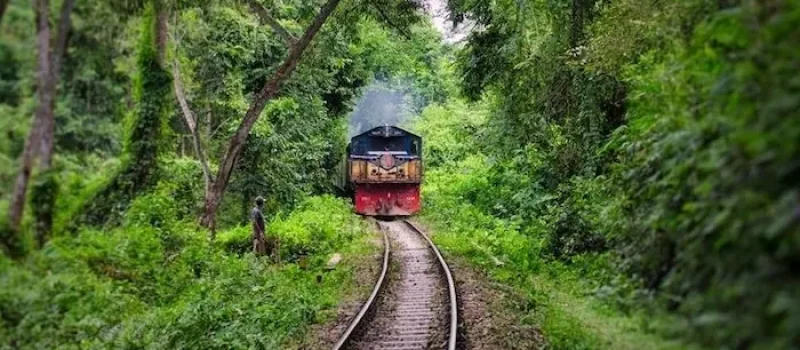 قطار سواری در میان درختان سرسبز شهر آلاشت 68587648389